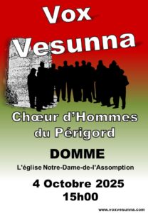 Concert Vox Vesunna-Domme @ DOMME